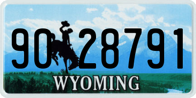 WY license plate 9028791