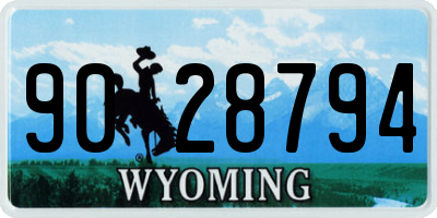 WY license plate 9028794