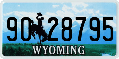 WY license plate 9028795