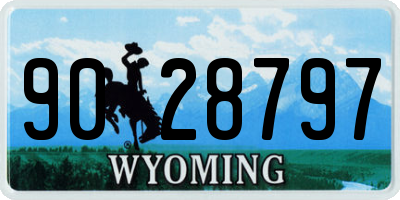 WY license plate 9028797