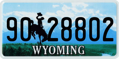 WY license plate 9028802