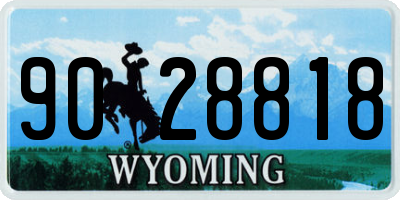WY license plate 9028818