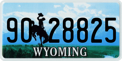 WY license plate 9028825