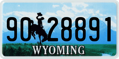 WY license plate 9028891