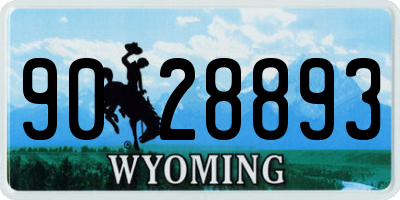 WY license plate 9028893