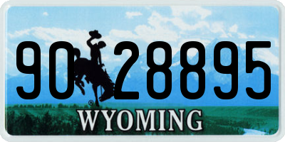 WY license plate 9028895