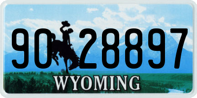 WY license plate 9028897