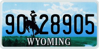 WY license plate 9028905