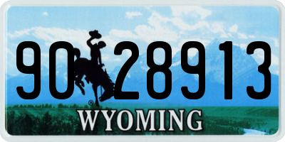 WY license plate 9028913