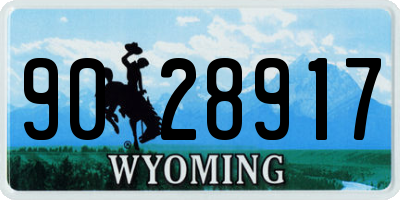 WY license plate 9028917