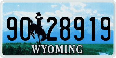 WY license plate 9028919