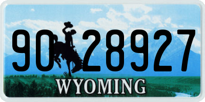 WY license plate 9028927