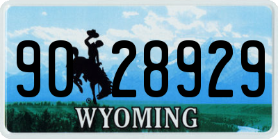 WY license plate 9028929