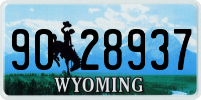 WY license plate 9028937