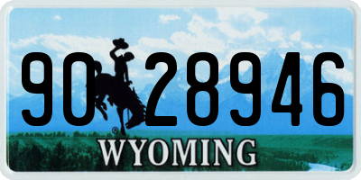 WY license plate 9028946