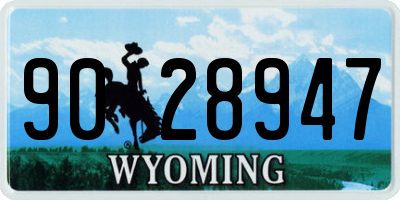 WY license plate 9028947