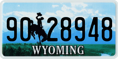 WY license plate 9028948