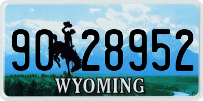 WY license plate 9028952