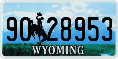 WY license plate 9028953