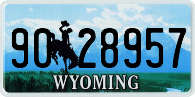 WY license plate 9028957