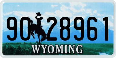 WY license plate 9028961