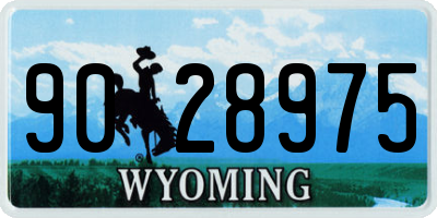WY license plate 9028975