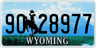 WY license plate 9028977