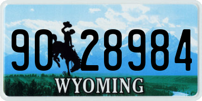 WY license plate 9028984