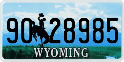 WY license plate 9028985