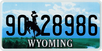 WY license plate 9028986
