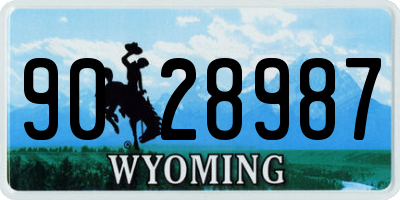WY license plate 9028987