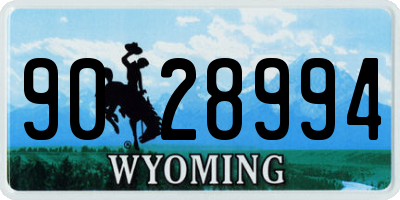 WY license plate 9028994