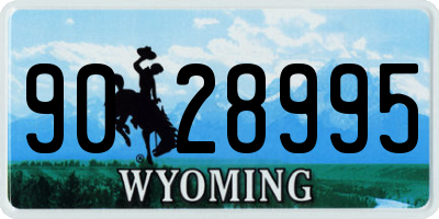 WY license plate 9028995