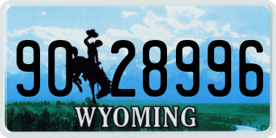 WY license plate 9028996