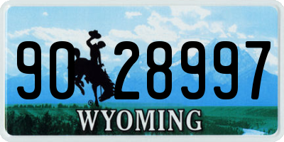 WY license plate 9028997