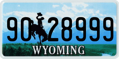 WY license plate 9028999