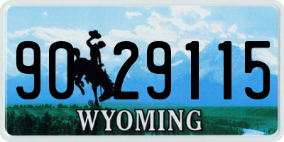 WY license plate 9029115