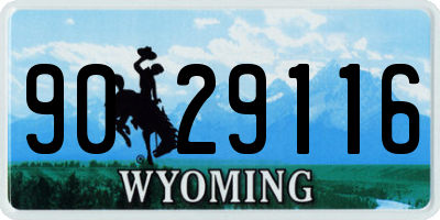 WY license plate 9029116
