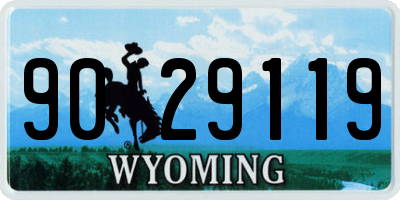 WY license plate 9029119