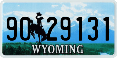 WY license plate 9029131