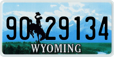 WY license plate 9029134