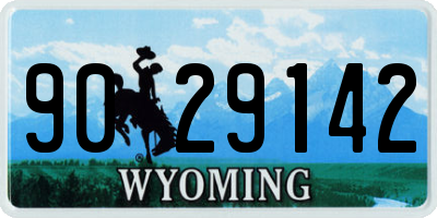 WY license plate 9029142