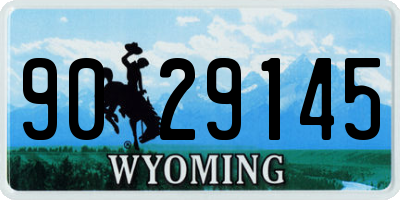 WY license plate 9029145