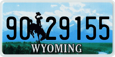 WY license plate 9029155
