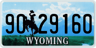 WY license plate 9029160