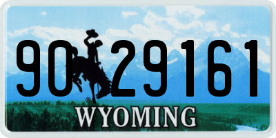 WY license plate 9029161