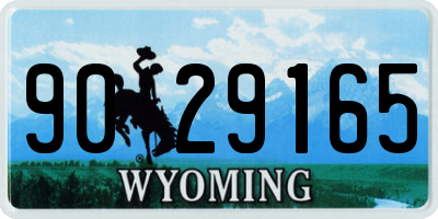 WY license plate 9029165