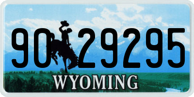 WY license plate 9029295