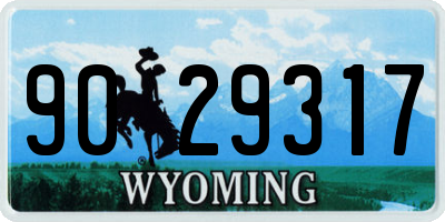 WY license plate 9029317