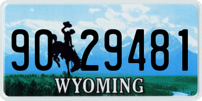 WY license plate 9029481